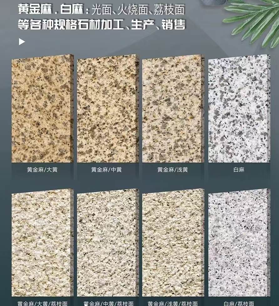 林芝 黄金麻白麻样品展示