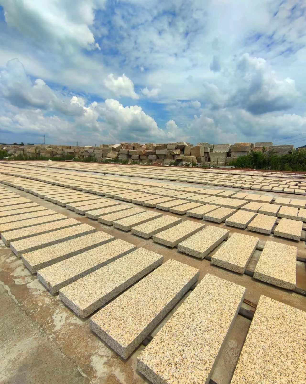 林芝 黄金麻花岗岩荔枝面地铺石防护中