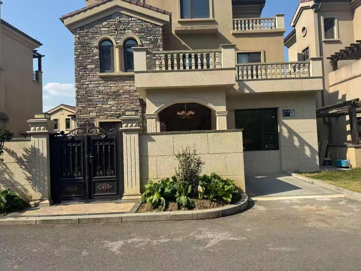 林芝黄金麻别墅案例展示