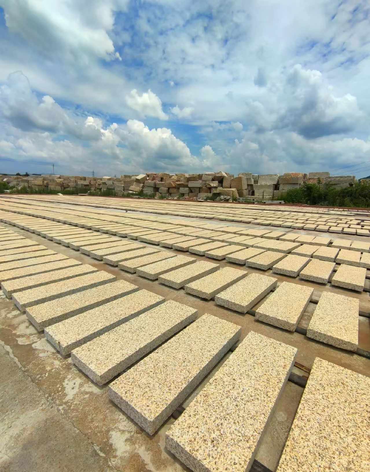 林芝 黄金麻荔枝面花岗岩石材地铺石防护中